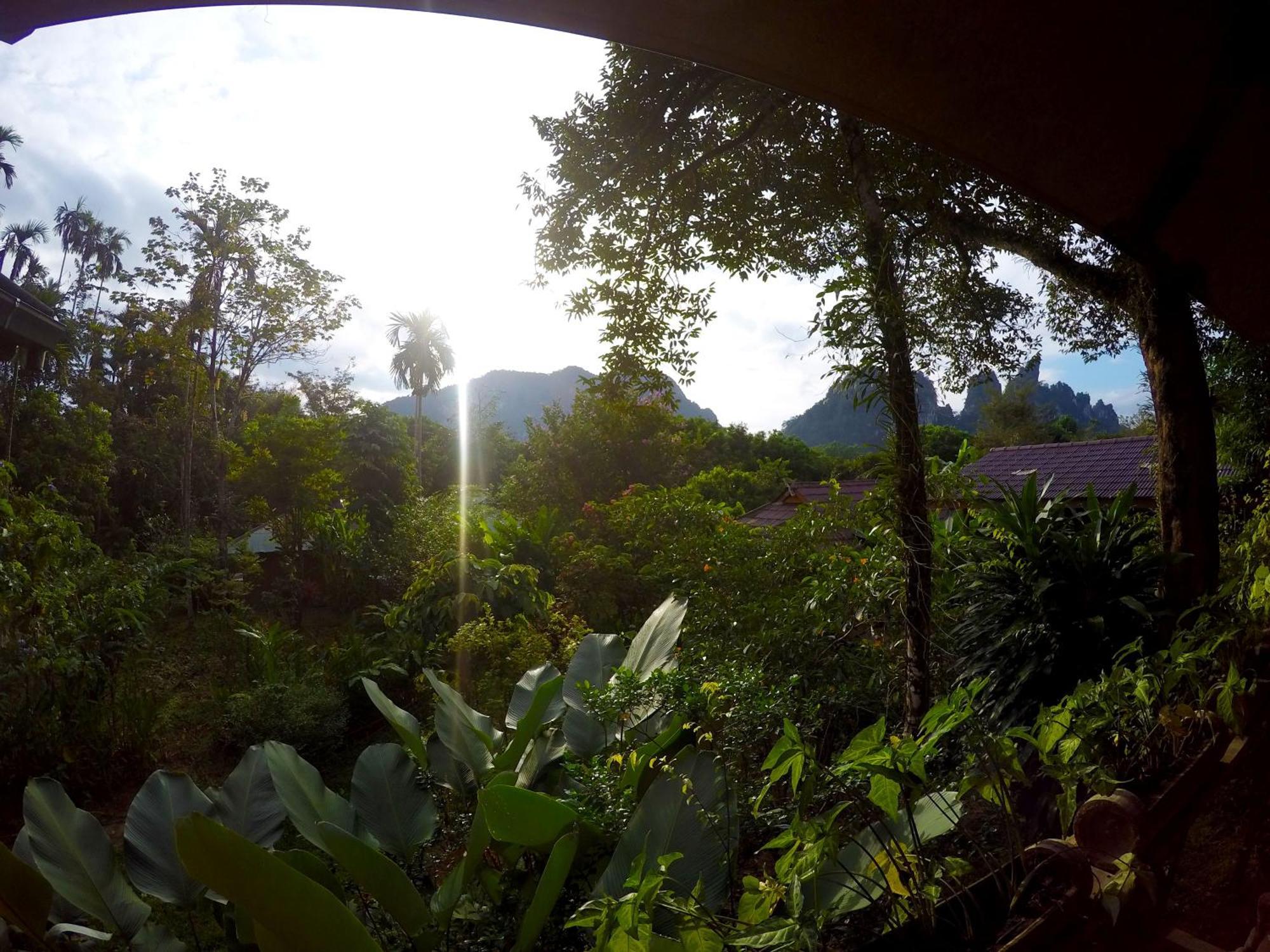 Khao Sok Morning Mist Resort Khao Sok National Park Eksteriør billede